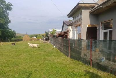 Teren intravilan, Carligi,com. Stefan cel Mare