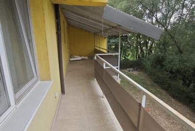 Apartament spatios 2 camere, etaj 1, terasa generoasa si balcon, curte cu BBQ - 14