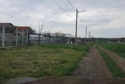 Teren de 368 mp, în Vest - 7
