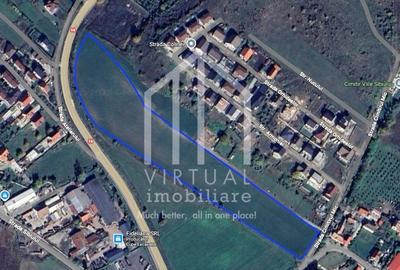 Teren Construcții intravilan de 3000 mp, în Nord-Est - 2