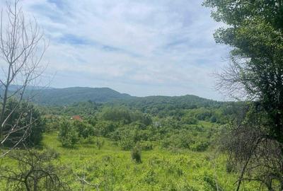 Teren de 6000 mp, în Urluiești - 7