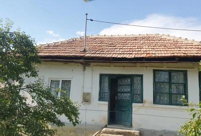 Casă cu 2 camere cu Teren 6000 Mp în Central - 2
