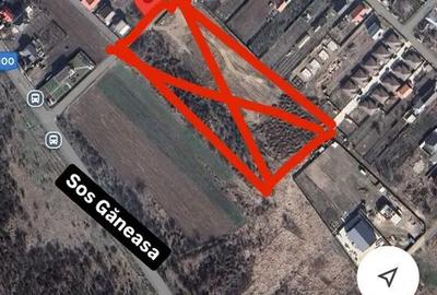 Ilfov Afumati, Teiului - 1