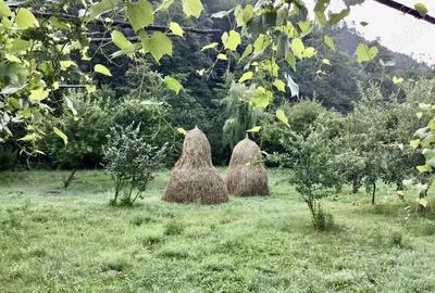 Casa de vacanta de vanzare - 3