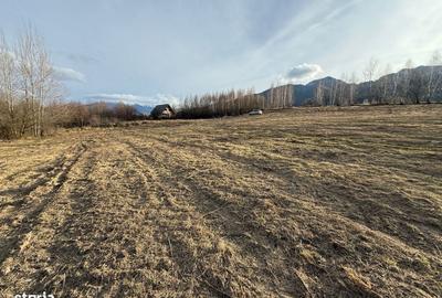 Spațiu comercial, în Bran - 11