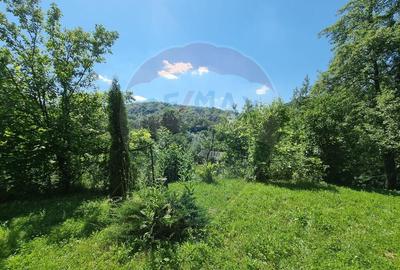 Casa de la marginea padurii! - 29