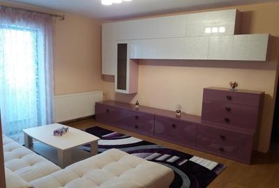 Apartament cu 2 camere decomandat în Turnișor - 4