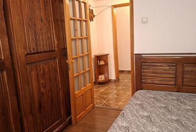Apartament cu 3 camere decomandat în Craiovița Nouă - 9