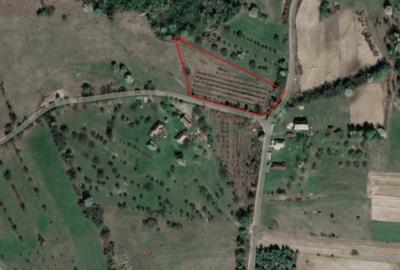 Berinta, teren intravilan, 5800 mp - 2