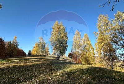 Oportunitate de investitie ! Teren de vis in Pestera - ... - 16