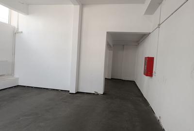Spațiu industrial, de 108 mp, în Uzina 2 - 7