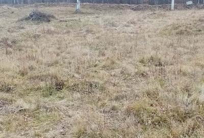 Teren de 10000 mp, în Lepșa - 1