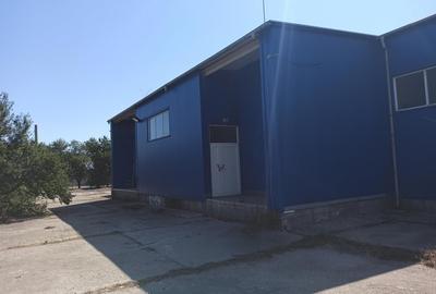 HALA ideala pentru PRODUCTIE ALIMENTARA, Poiana, Ovidiu - 827 mp, teren 4066 mp - 18