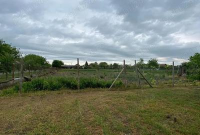 Casă cu 4 camere cu Teren 1656 Mp în Iecea Mică - 5