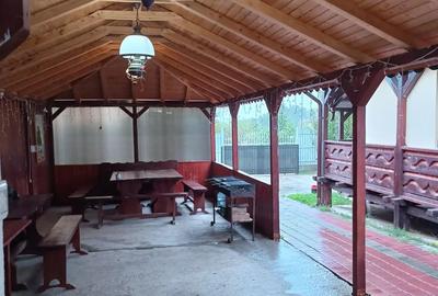 Inchiriere vila petreceri, aniversari - 10