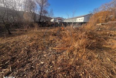 Spațiu comercial, în Viișoara - 1