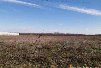 Teren Jiana Veche, Comuna Jiana, jud. Mehedinti-18.02 - 1