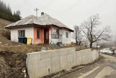 Casă cu Teren 3808 Mp în Fundata - 2