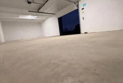 Inchiriez hala calea borsului - 2