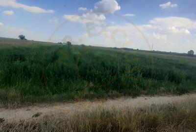 Teren  Extravilan -8514 mp Stefanesti  - STR.  Sticlelor Teren  Extravilan -8514 mp Stefanesti  - STR.  Sticlelor - 2