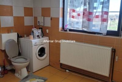 Vanzare proprietate cu 2 case Zurbaua- Dragomiresti Vale - 10