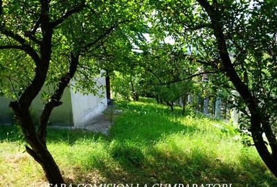 ANL- MORILOR, TEREN 635 MP - 14