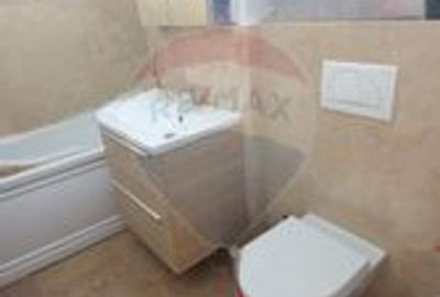 Apartament  4 camere de inchiriat MALUL MURESULUI - 24