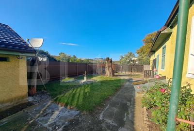 Casa individuala de vanzare in satul Zizin, jude?ul Bra - 3