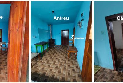 Casă cu 2 camere în Orman - 7