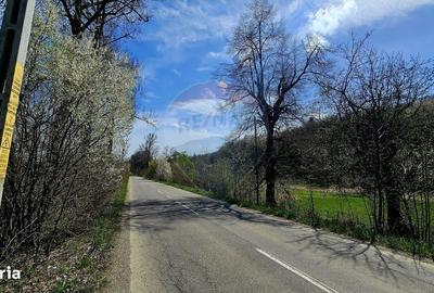 Spațiu comercial, în Mânăstirea Neamț - 6