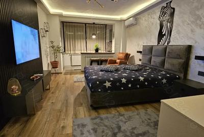 Inchiriez ap 1 camera Tig 2 - 10