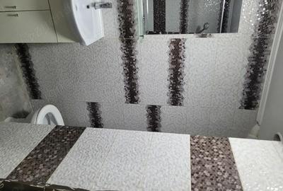 Apartament cu 2 camere semidecomandat în Ultracentral - 5