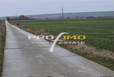 Teren de 4200 mp, în Corbu - 12