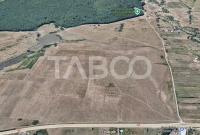 Teren agricol extravilan de 5950 mp, în Industrial Vest - 1