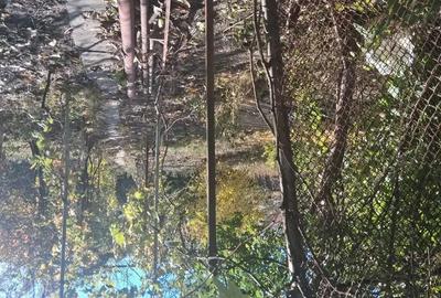 Casă cu 6 camere cu Teren 740 Mp în Mehala - 5