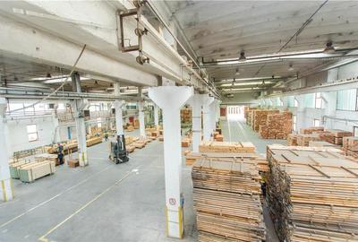 Spațiu industrial, de 5,200 mp, în Periferie - 17