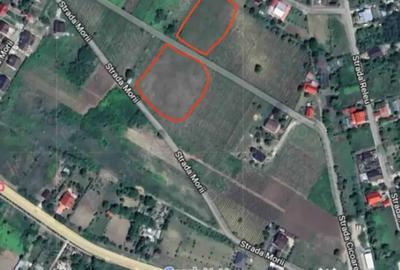 Teren de 6201 mp, în Chicerea - 1