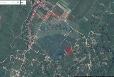 Teren Construcții intravilan de 6900 mp, în Bran - 16