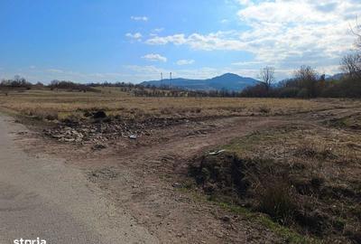 Teren de 2675 mp, în Poieni - 1