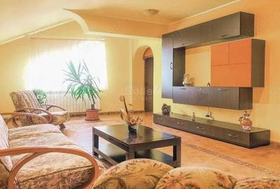 Pensiune 3 margarete - 14