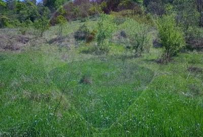 Teren intravilan de vanzare Hula Baznei, 800 mp - 5