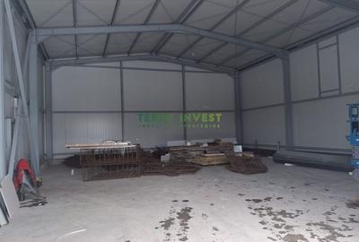 Hala depozitare -  Cernica  Theodor Pallady - 15