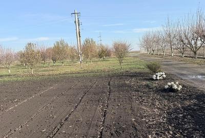 Teren non-agricol 5000 mp cu casă modernă mobilată, hală și garaje automatizate - 5