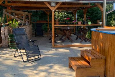 Casa si teren intravilan 2,7 hectare in Sovata - 3