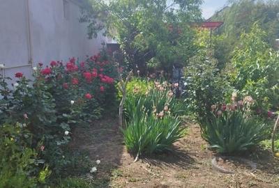 Casă individuală cu 5 camere cu Canalizare în Macea - 2