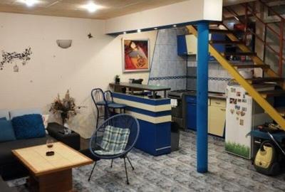 Duplex cu 7 camere cu Canalizare în Splaiul Unirii - 9