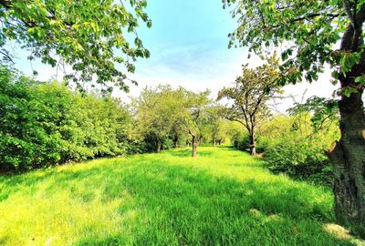 Teren Extravilan 3200 mp - Oportunitate în Tropinii Vechi - 3