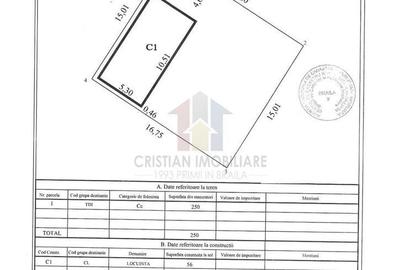 Casă cu 3 camere în Nicolae Bălcescu - 8