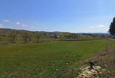 Teren de 2425 mp, în Barcani - 2