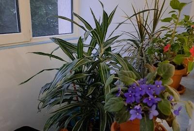 Inchiriez apartament 3 camere,3 minute de metrou titan - 13